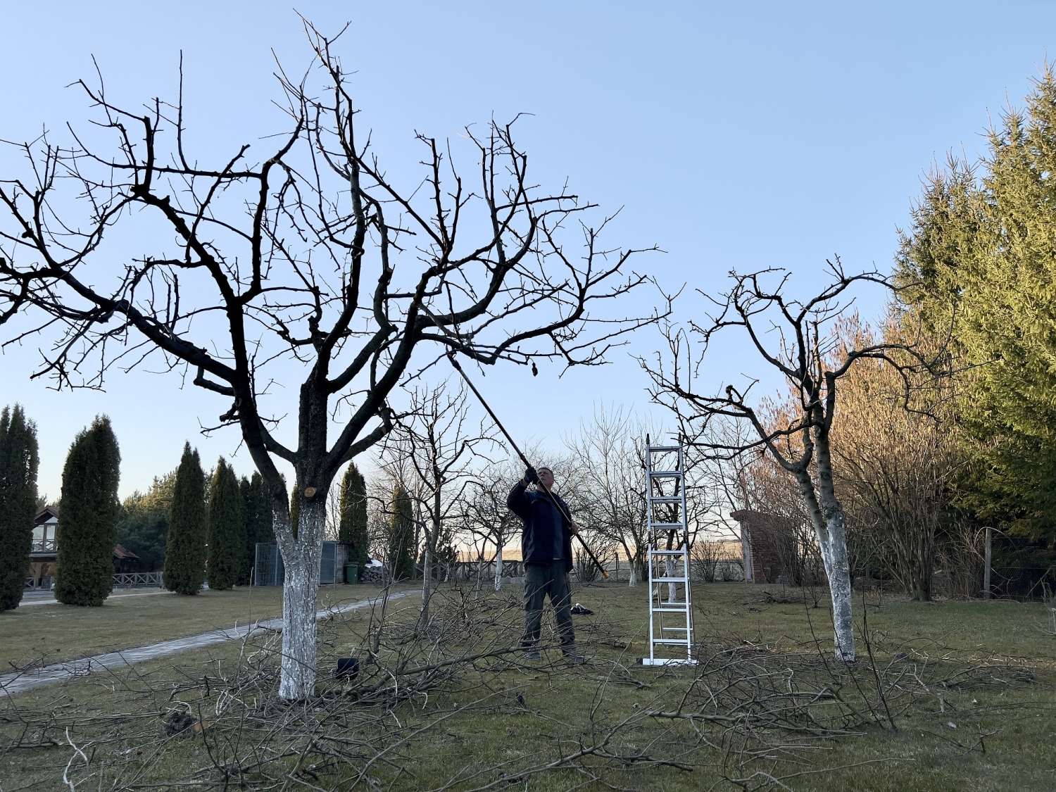 Aplinkos tvarkymą geriau patikėti specialistams