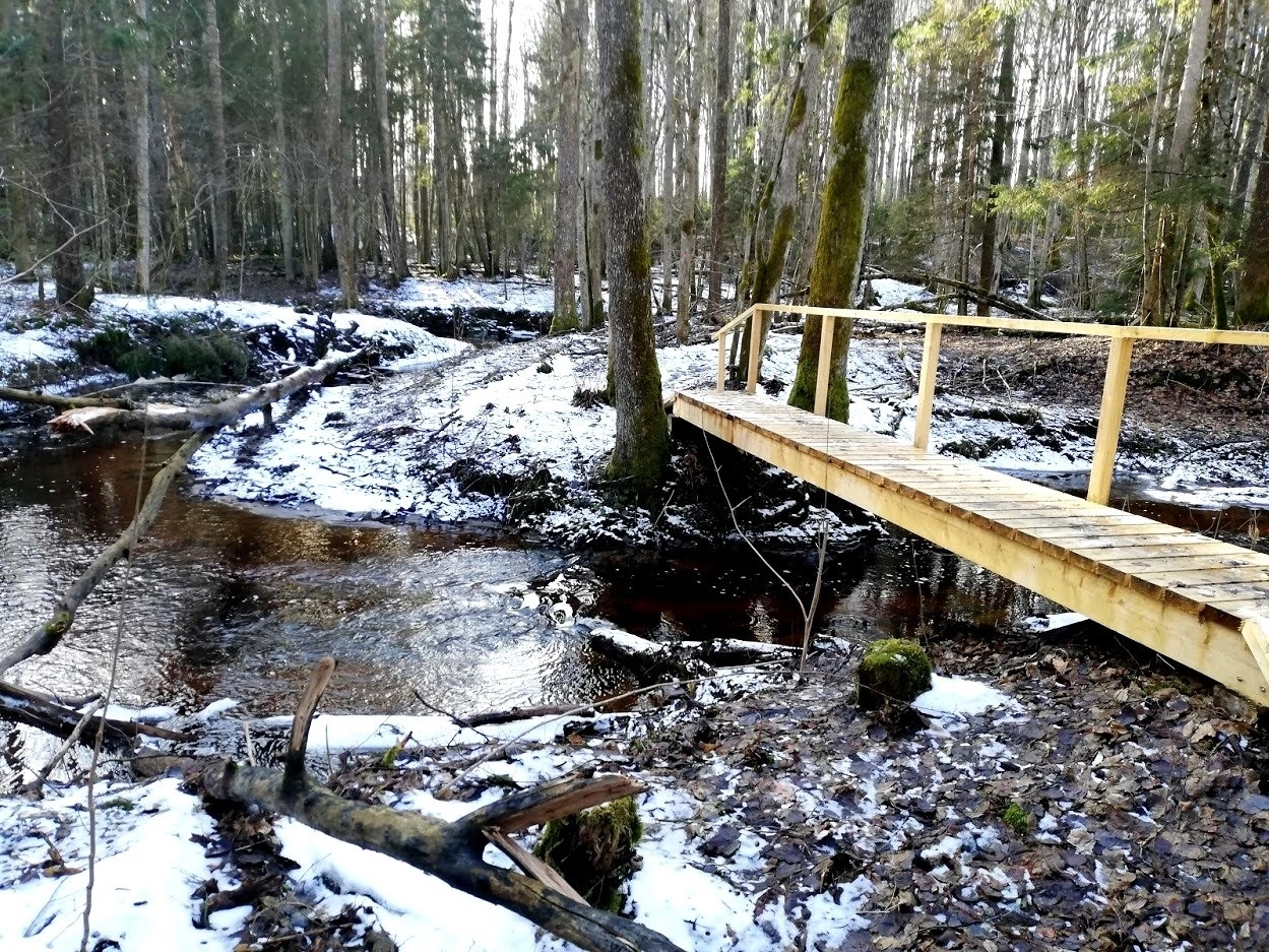 Atnaujino per mišką vedantį pažintinį taką