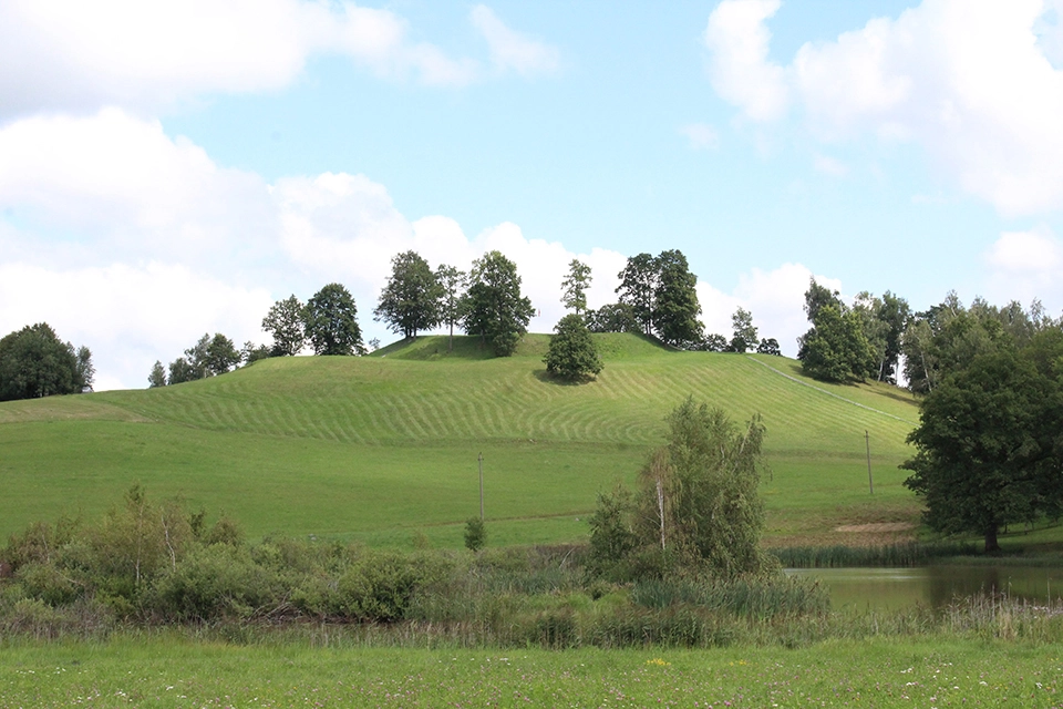 Bilionių seniūnija – lyg deganti žvakė