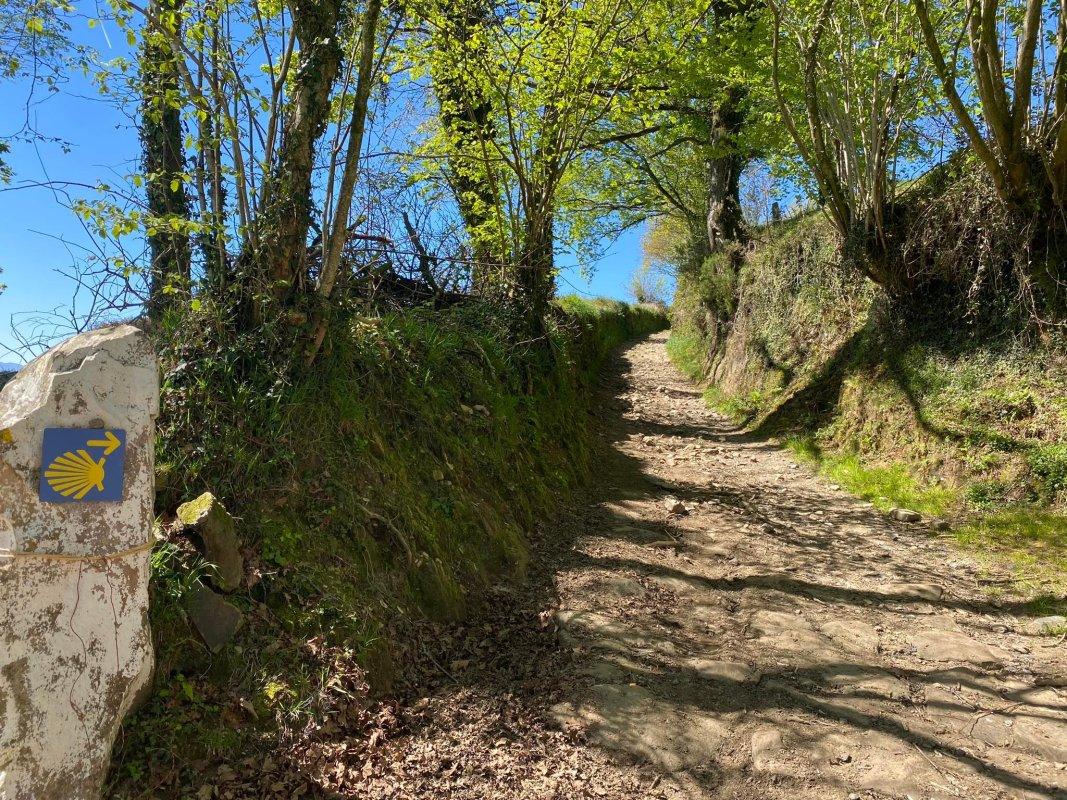 „Camino Lituano“– sujungia ne tik Lietuvos miestus, bet ir šalis