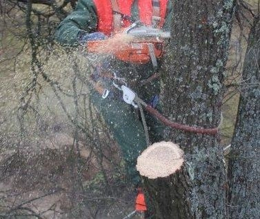 Grandininiu pjūklu susižalojęs mirė vyras