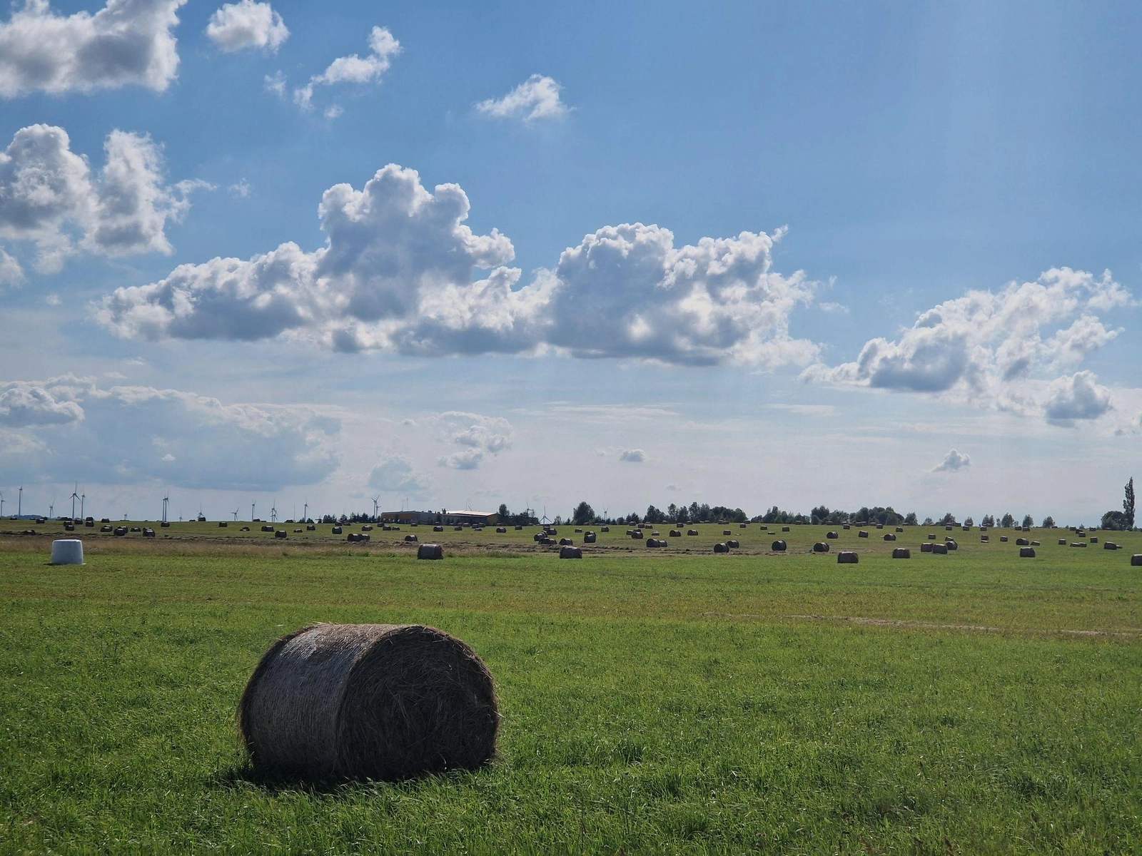 Įtariamas padegimas – sudegė 88 šiaudų ir šieno rulonai