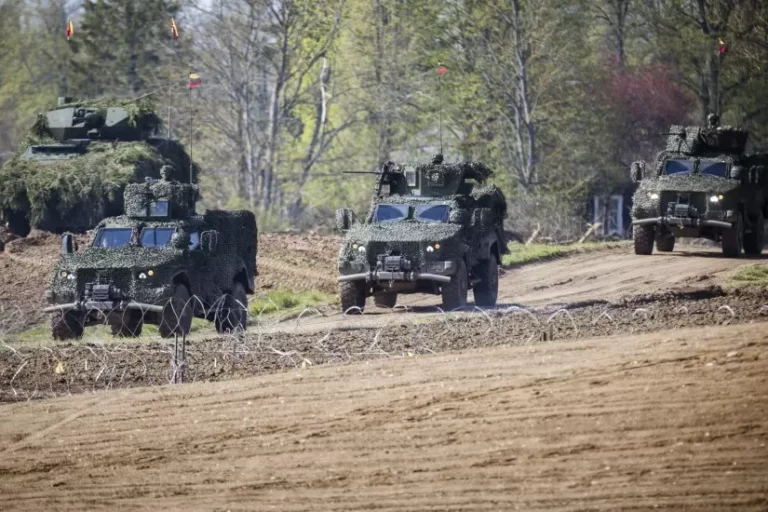 Kompromisai pasiekti: Seimas pritarė poligonų steigimui Šilalės ir Tauragės rajonuose