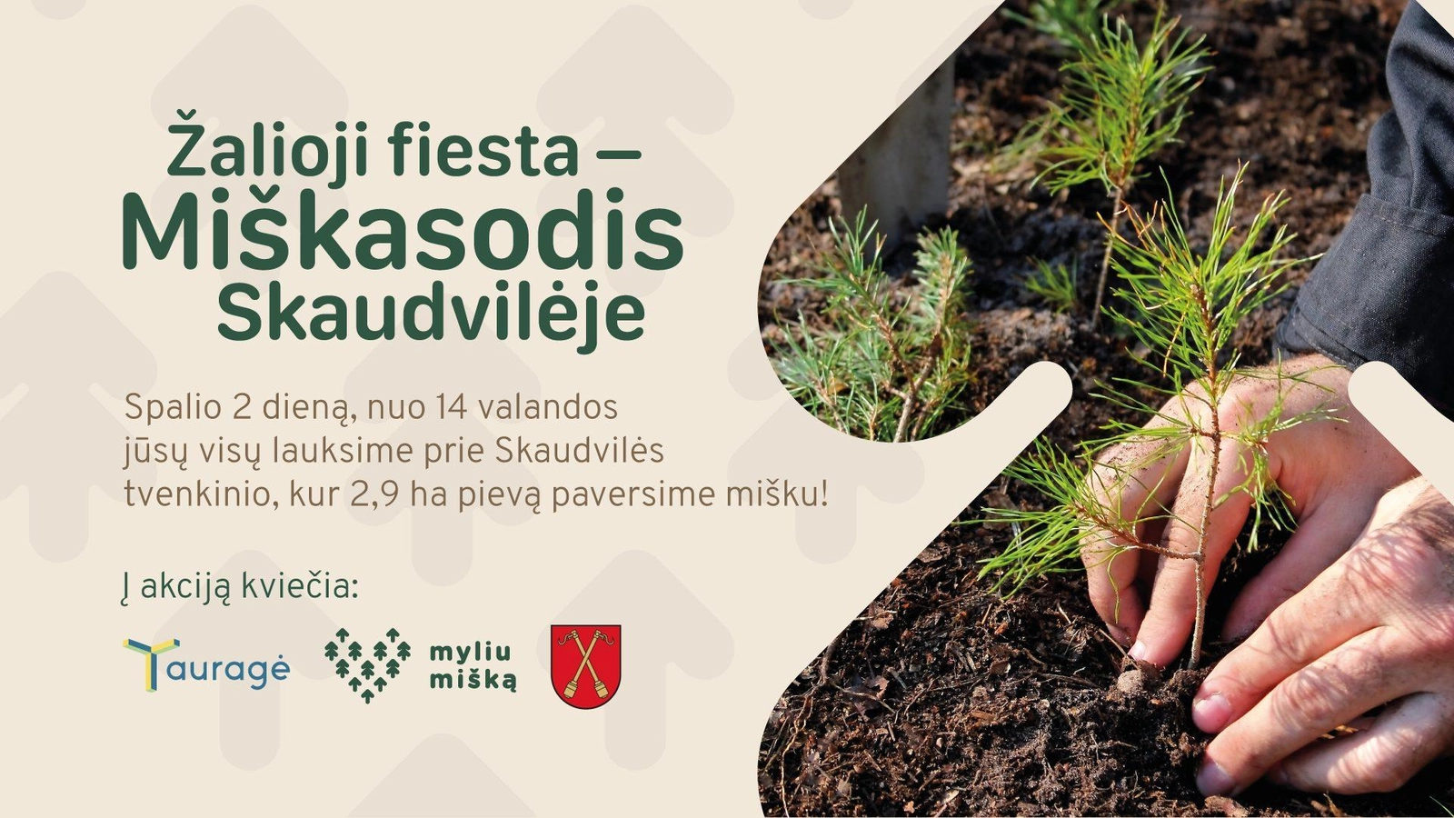 Kviečia į žaliąją fiestą – miškasodį prie Skaudvilės tvenkinio