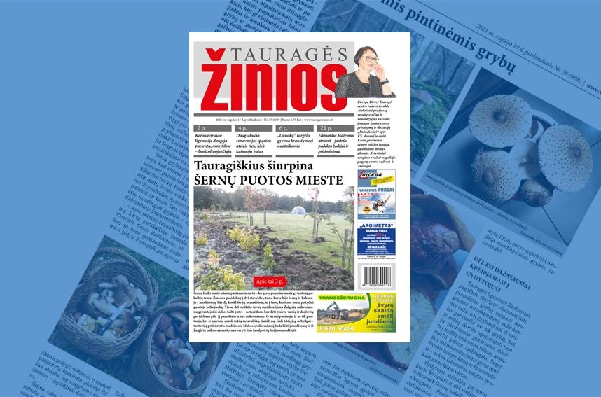 Naujajame „Tauragės žinių“ numeryje: Tauragiškius šiurpina šernų puotos mieste