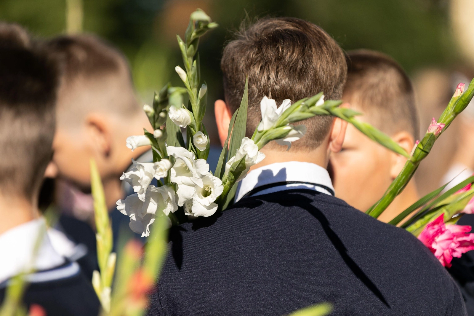 Nelaukite rugsėjo, prašymus dėl nemokamo maitinimo ir par