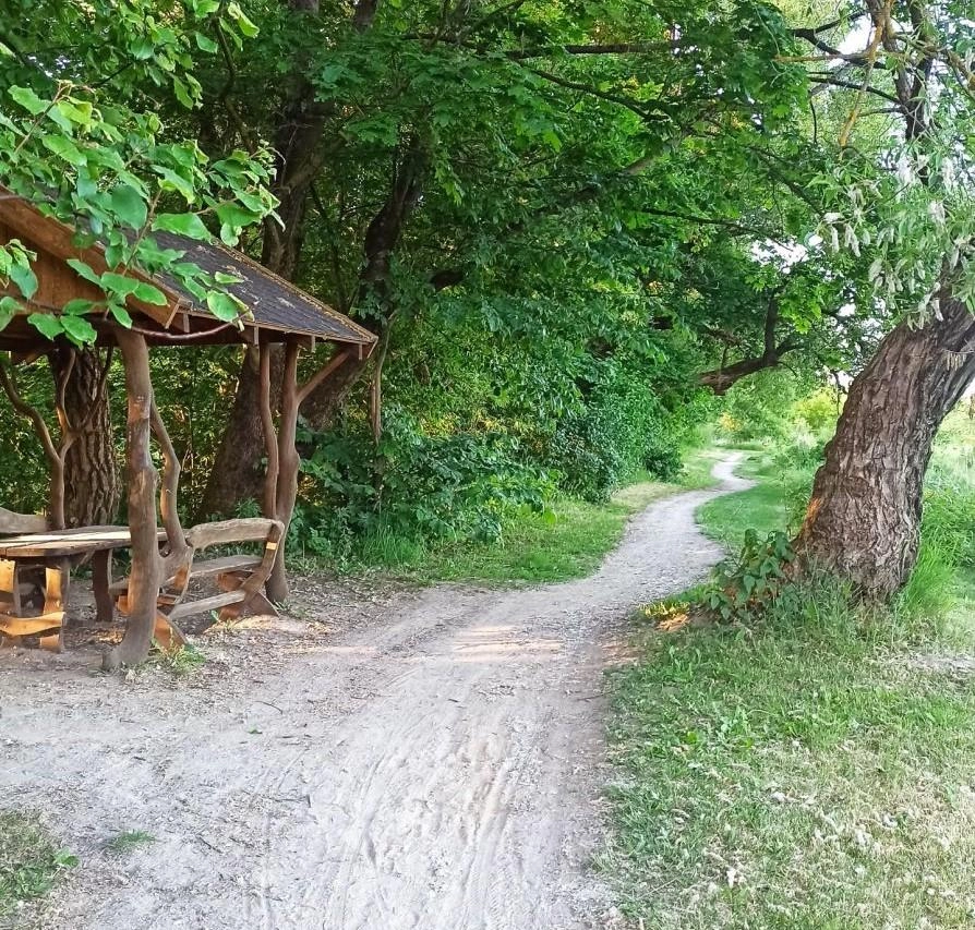 Nuo vasaros estrados iki Liepų g. drieksis naujas pėsčiųjų ir dviračių takas