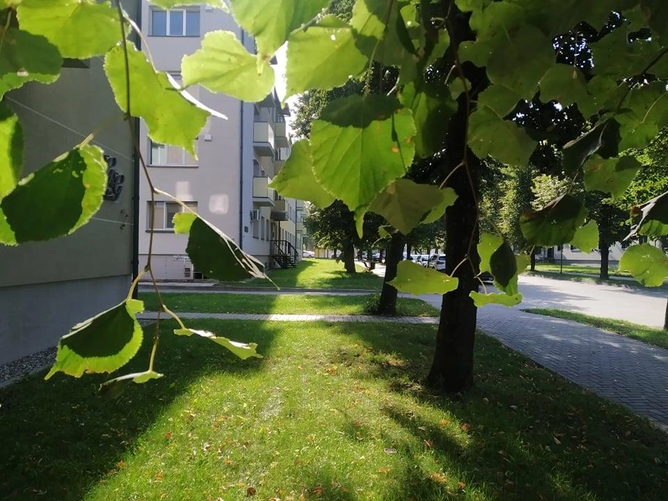Orai: artinasi šilumos banga