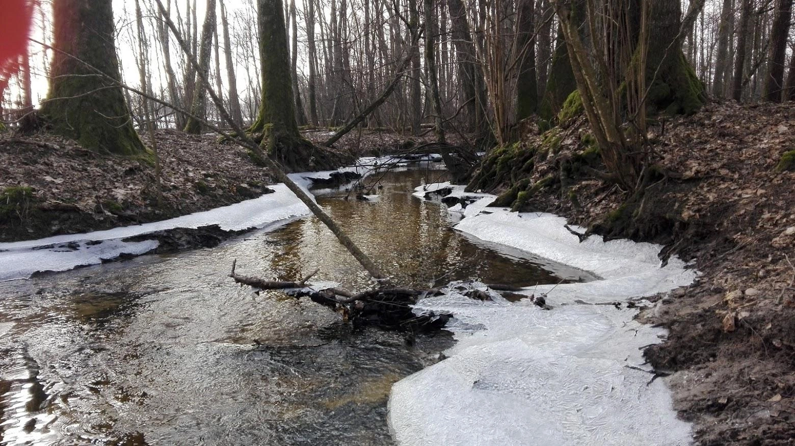 Orai: gražiausias metų šventes papuoš sniegas
