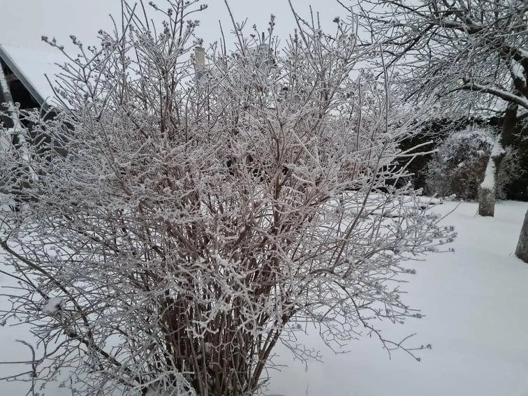 Orai: metams baigiantis plūstels šiluma