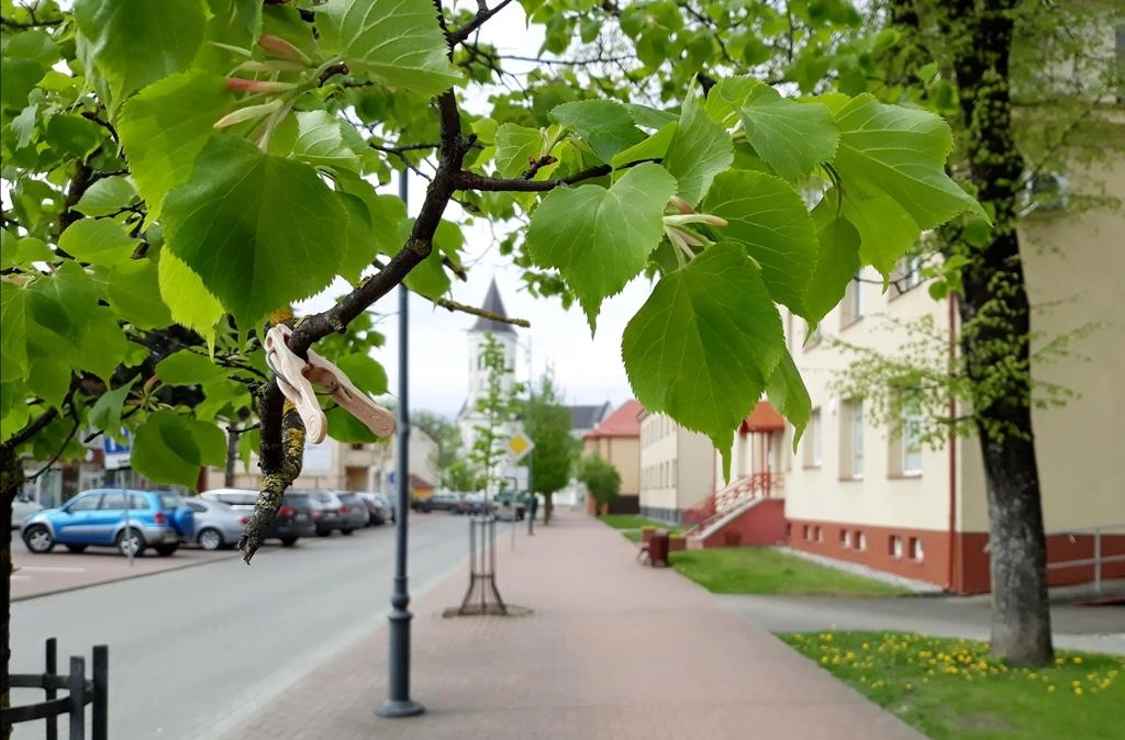Orai: pavasaris grįš į savo vėžes
