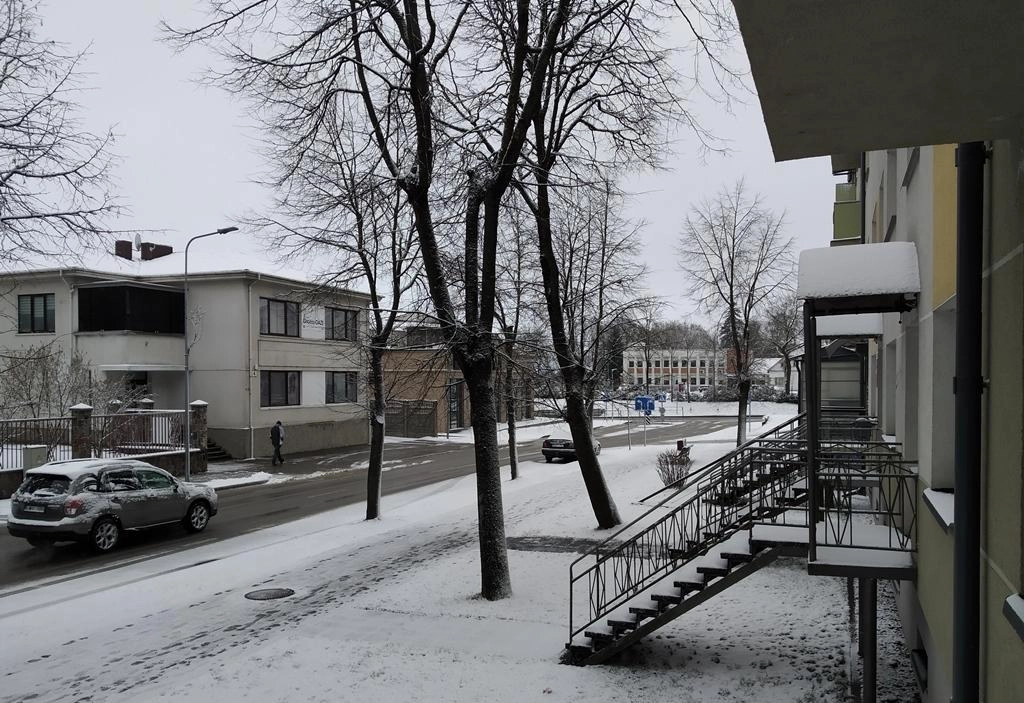 Orai: pavasaris nelepins – talžys vėjas, kris šlapdriba