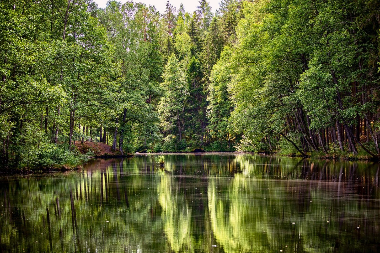 Orai: permainos jau ne už kalnų