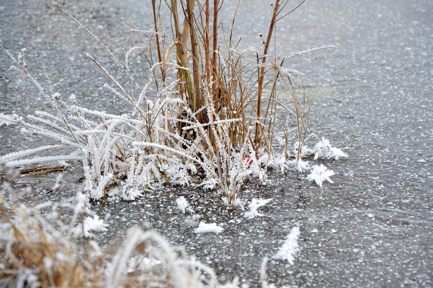 Orai: rudens ir žiemos sandūrą lydės sniegas ir šaltis