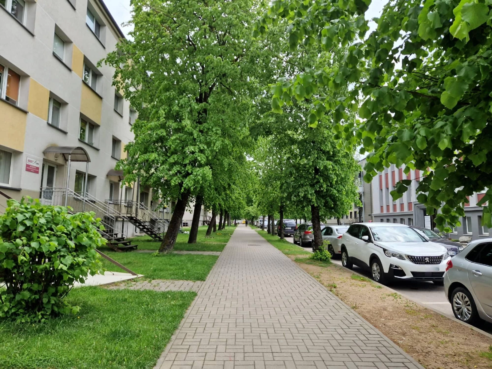Orai: savaitė lietinga, bet šilta