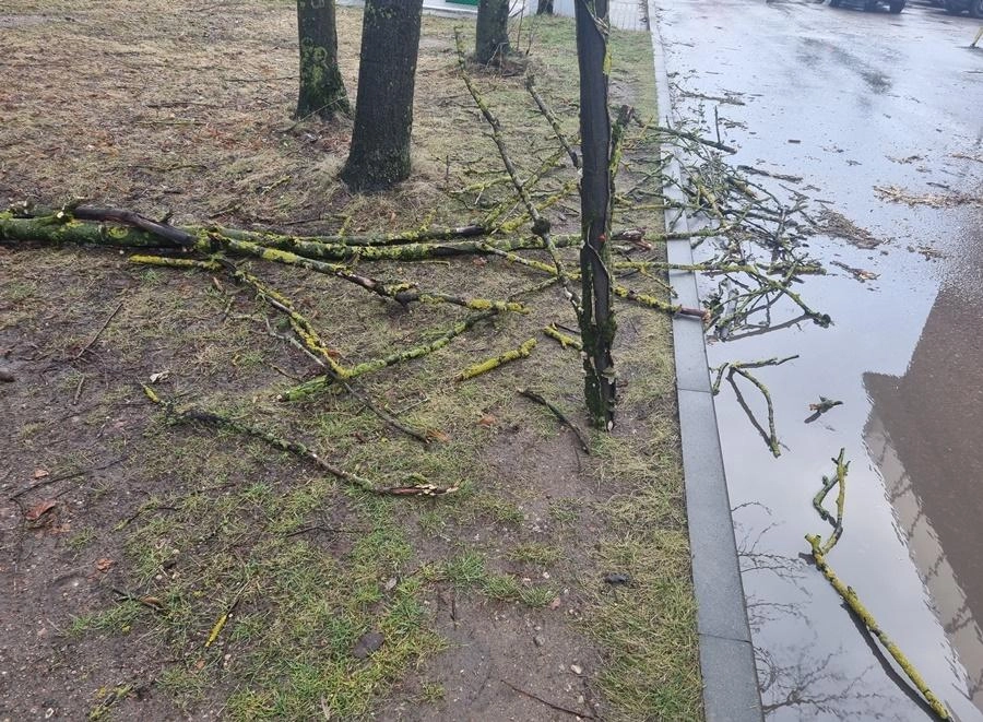Orai subjurs: savaitės pradžioje Lietuvą talžys vėjas