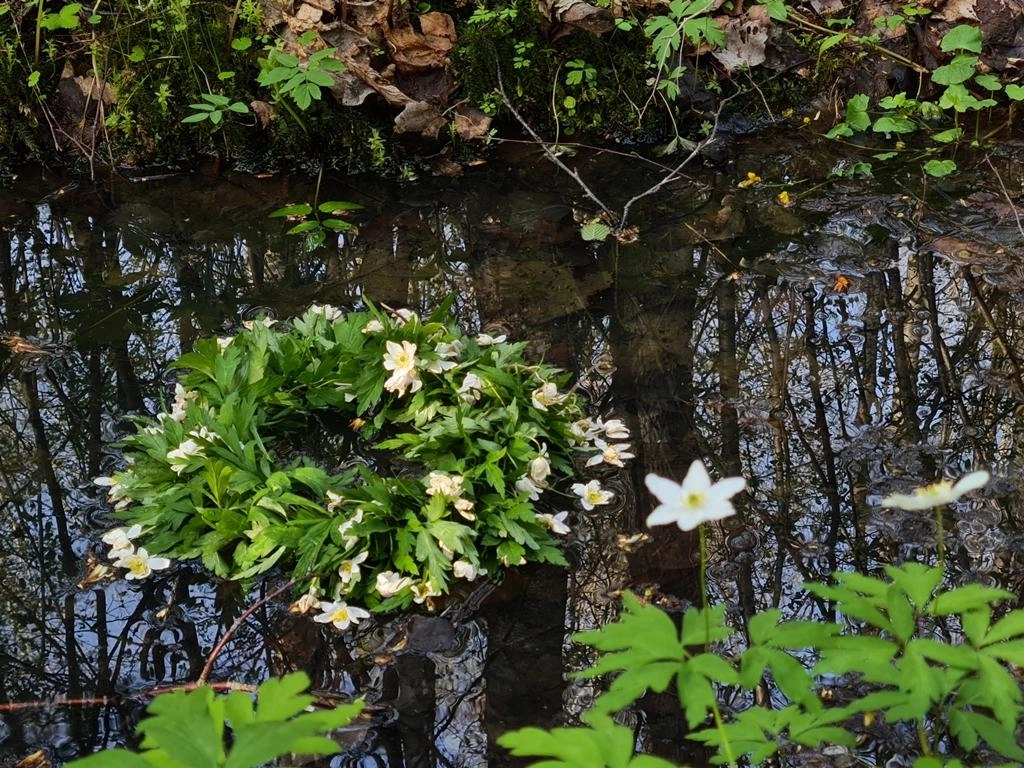Orai: visą savaitę tęsis alinantis karštis