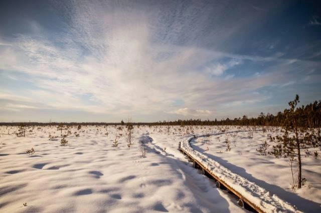 Orai: žiema šieps dantis – savaitės gale stiprės šaltis