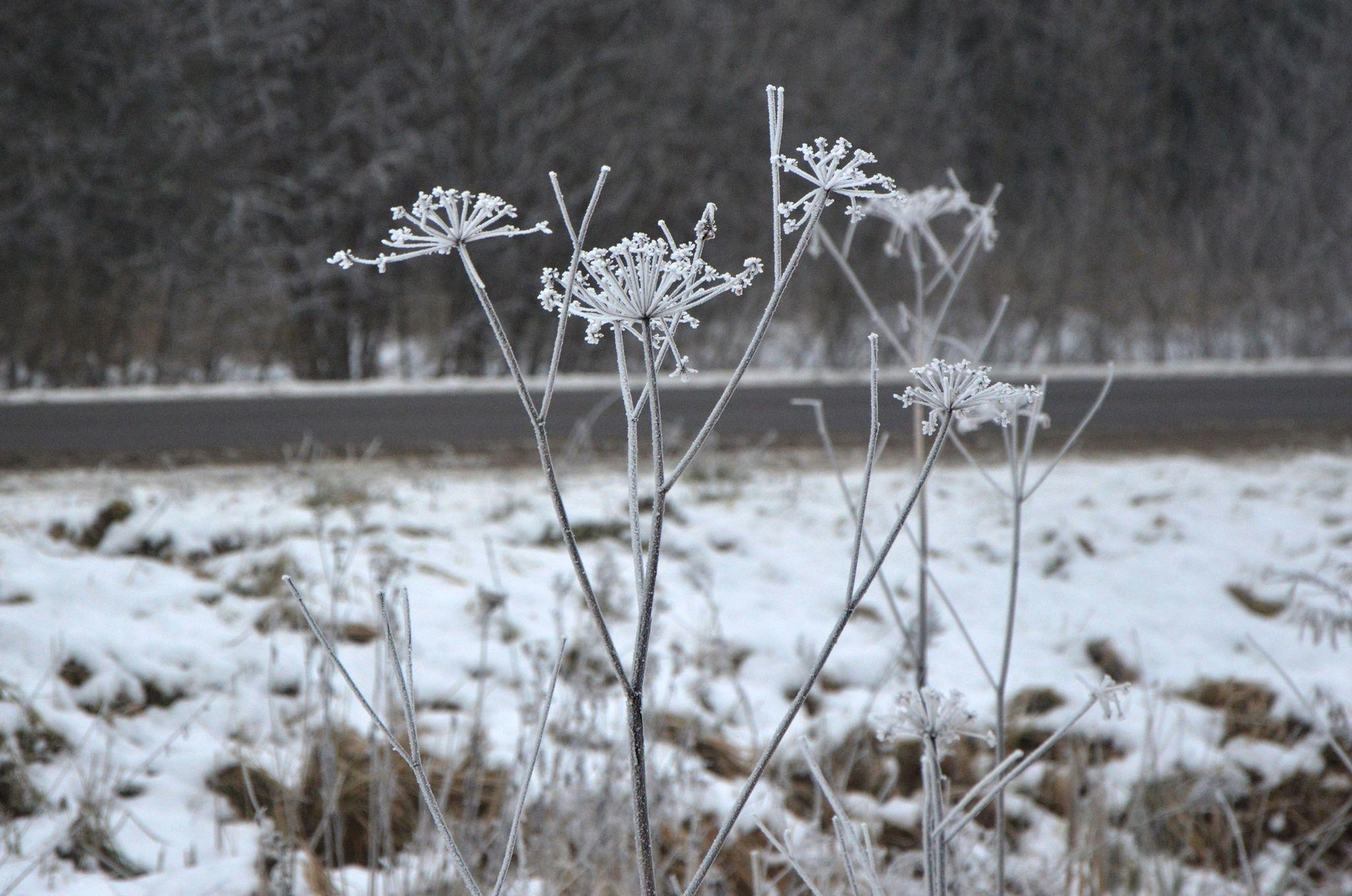Orai: žiemos akcentų vis mažės – temperatūra kils aukščiau