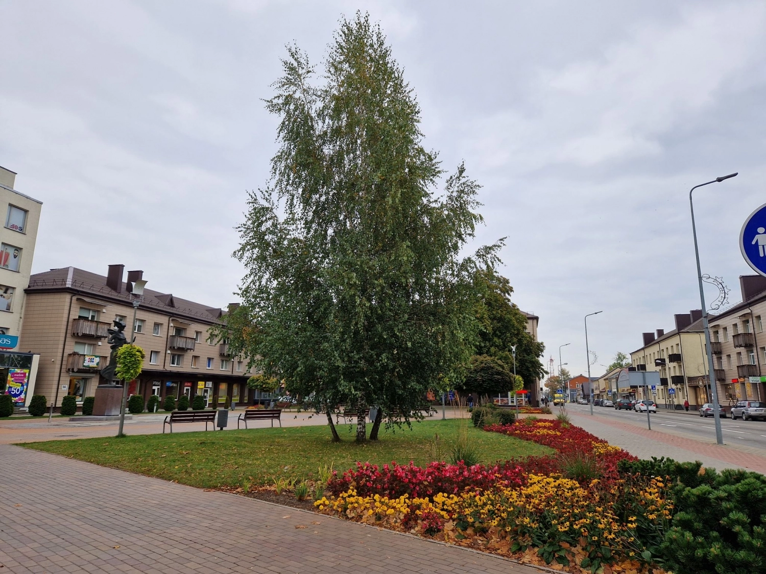 Po diskusijų audros beržų miesto centre nuspręsta neliesti