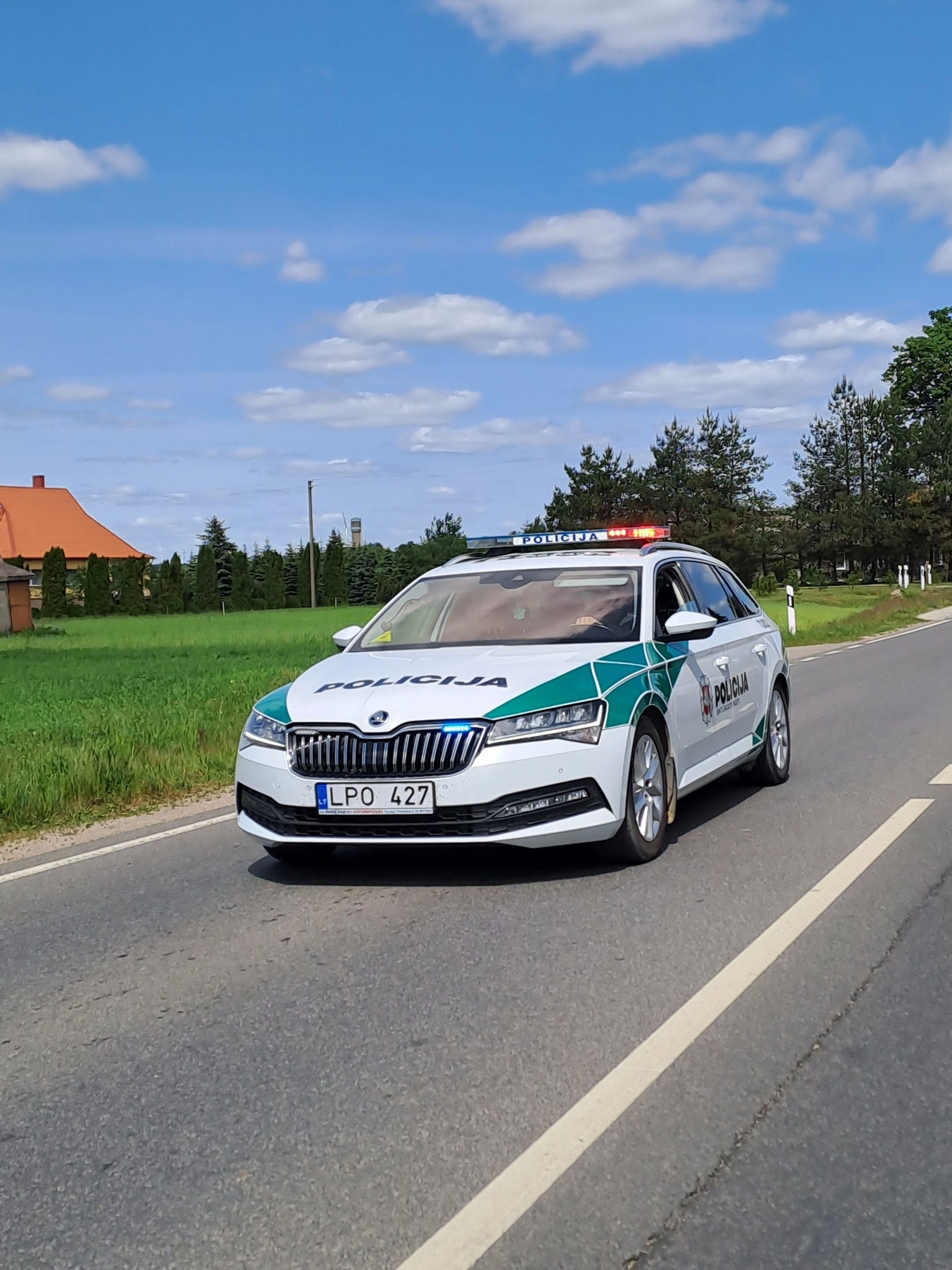 Policijos suvestinė: vagystės, sukčiavimas, smurtas ir pavojingi vairuotojai