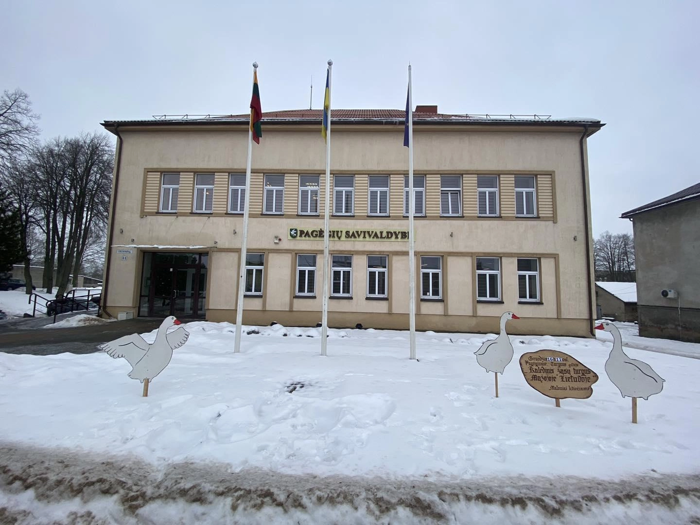 Šeštadienį Pagėgiuose šurmuliuos kalėdinis žąsų turgus