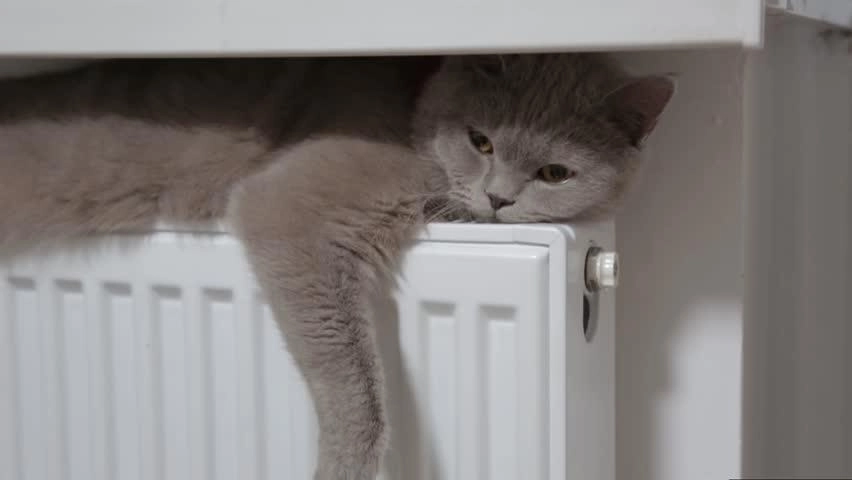 Šią savaitę planuoja pradėti šildymo sezoną