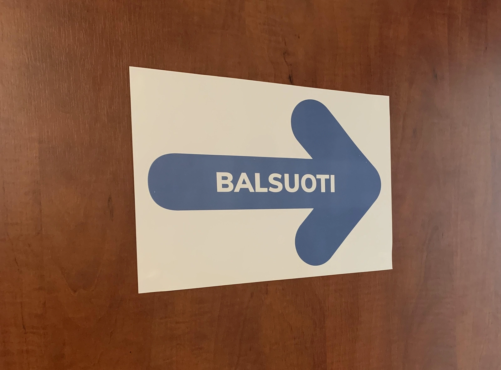 Šiandien vyksta savivaldybių tarybų ir tiesioginiai merų rinkimai