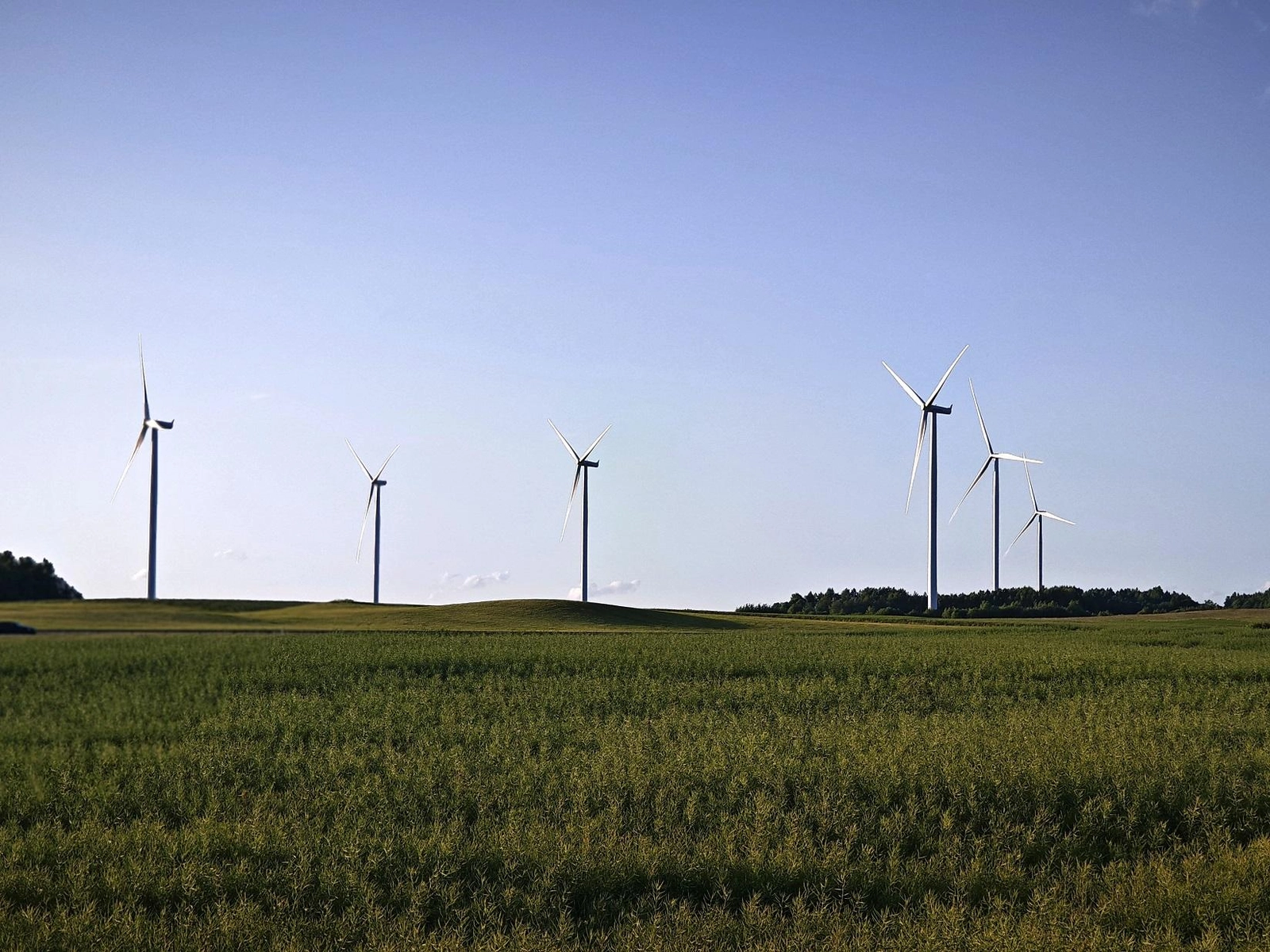 Šilalės rajono savivaldybėje – pusė suvartojamos energijos iš atsinaujinančių išteklių