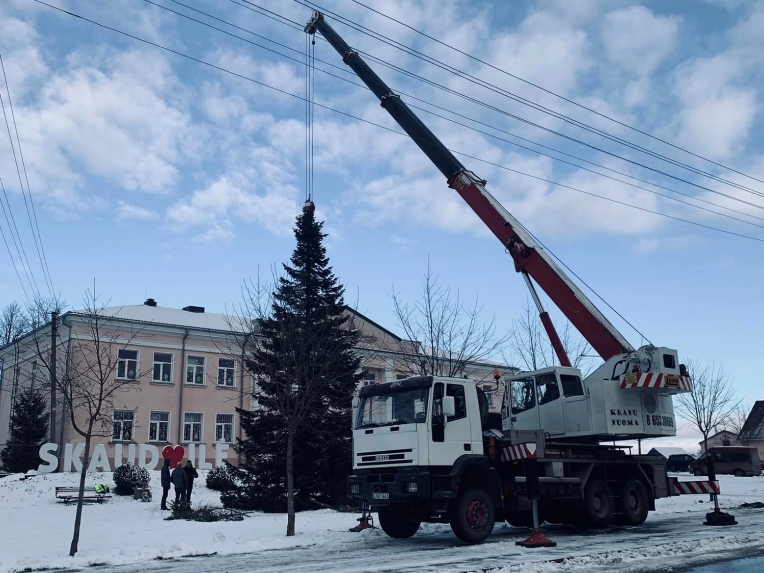Skaudvilėje pastatyta žaliaskarė, įsikurs ir eglučių alėja