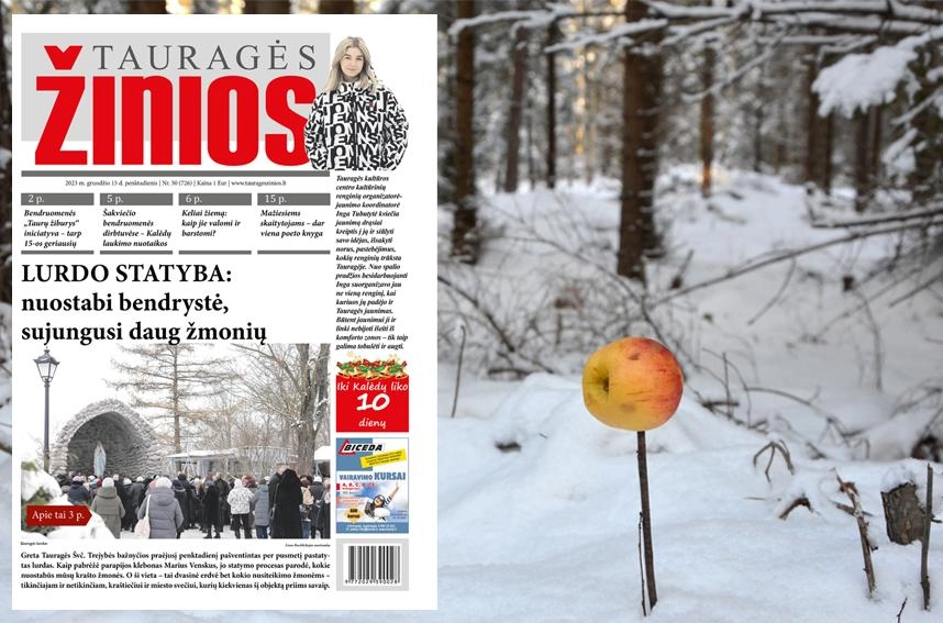 „Tauragė žiniose“ skaitykite: Lurdo statyba: nuostabi bendrystė, sujungusi daug žmonių