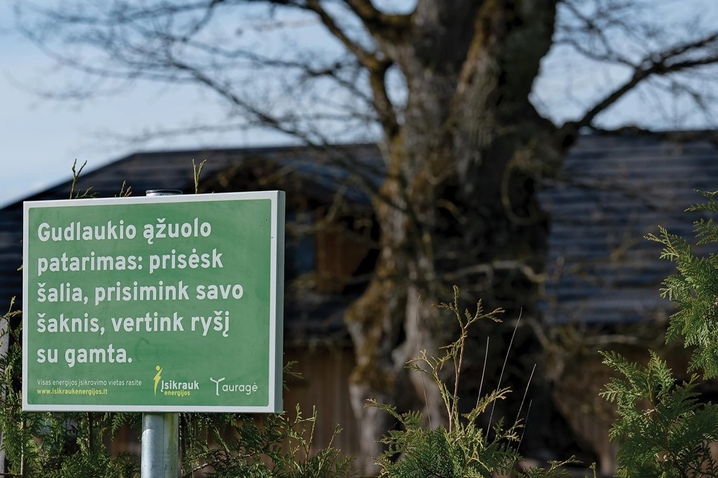 Tauragės rajono savivaldybė kviečia atkreipti dėmesį į