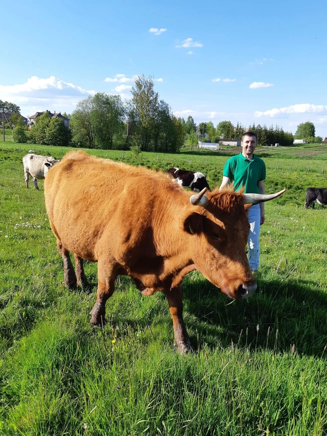 Ūkį kuria, investuodami užsienyje uždirbtus pinigus