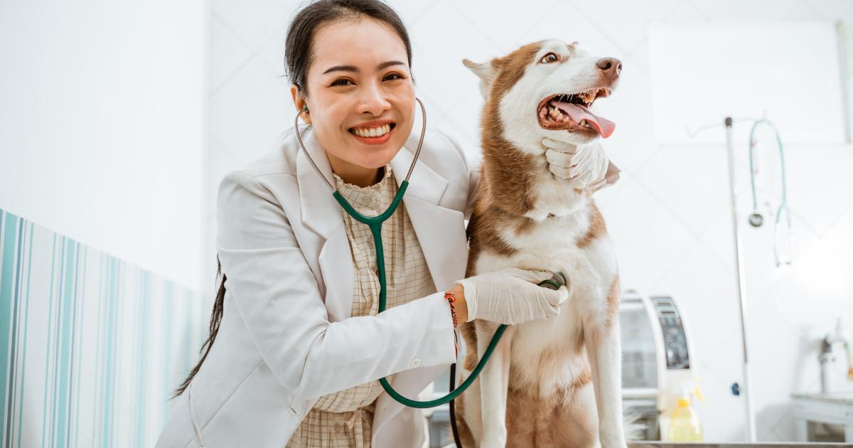 Veterinarijos etika ir gyvūnų gerovė