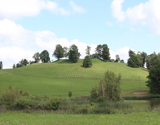 Bilionių seniūnija – lyg deganti žvakė