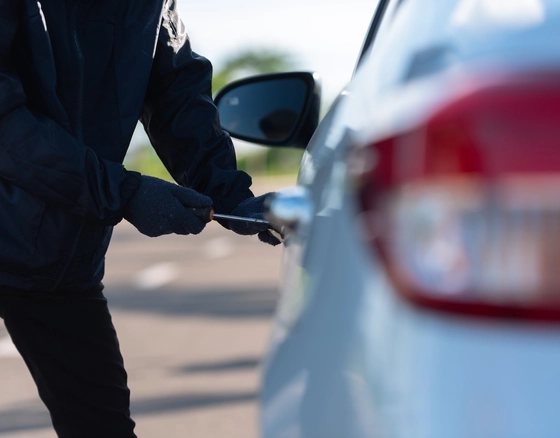 Fiksuojamas išaugęs automobilių vagysčių skaičius: nus