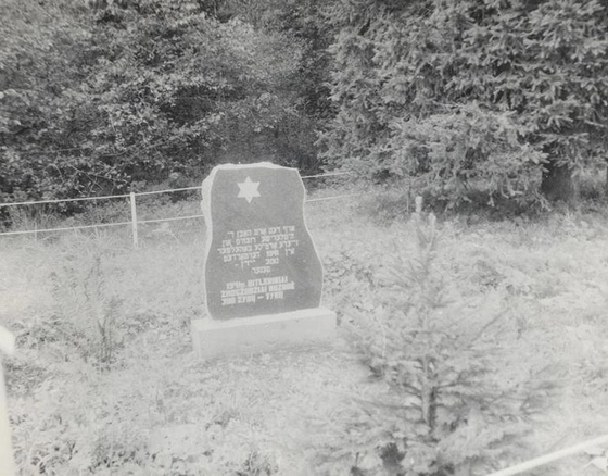 Holokausto aukų vieta – nepasiekiama