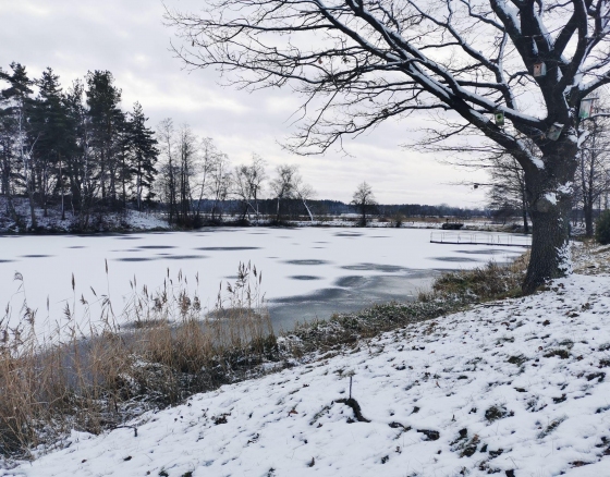 Nuotekų tvarkymo kontrolės neplanavo