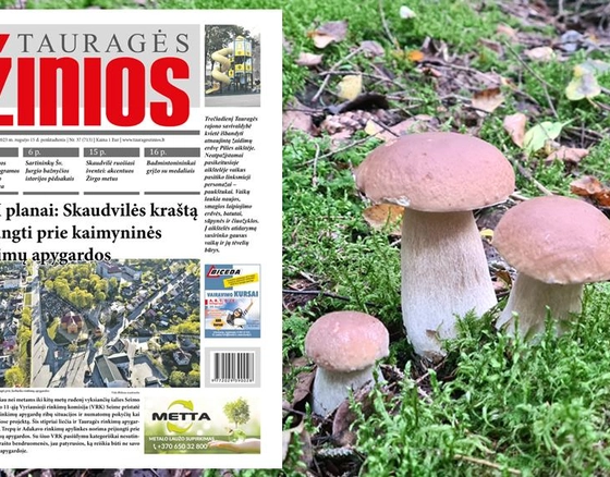 Rytojaus „Tauragės žiniose“ skaitykite