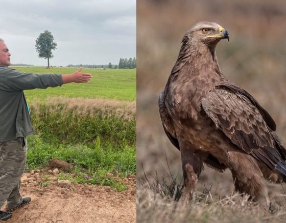 Saugomas paukštis kursto aistras, tačiau niekas jo nėra matę