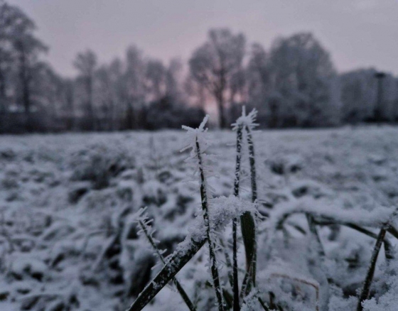 Šiandien matomumą prastins rūkas