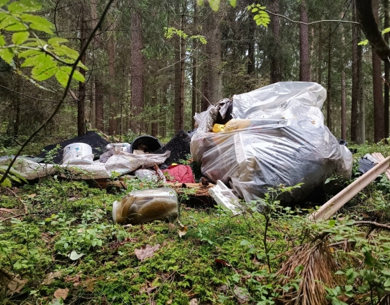 Šiukšlės miške – vis dar miškininkų kasdienybė