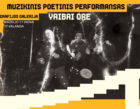 Susitikimas su fotomenininke Justina Tulaite ir muzikinis/poetinis performansas Vaivai