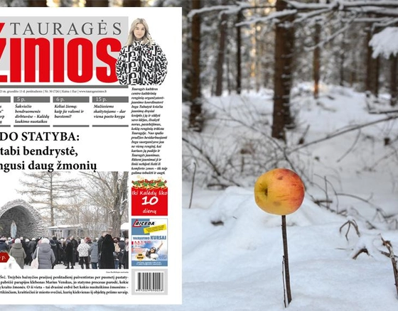 „Tauragė žiniose“ skaitykite: Lurdo statyba: nuostabi bendrystė, sujungusi daug žmonių
