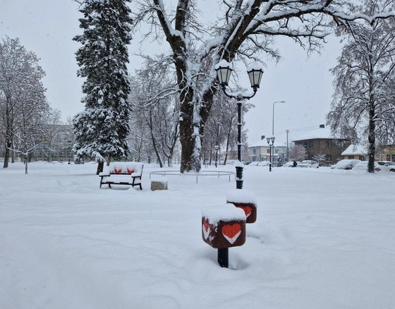 Tauragės apskrityje – snygis: būkite atidūs kelyje