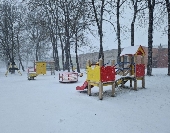 Vaikų žaidimų ir šunų vedžiojimo aikštelėms Tauragė