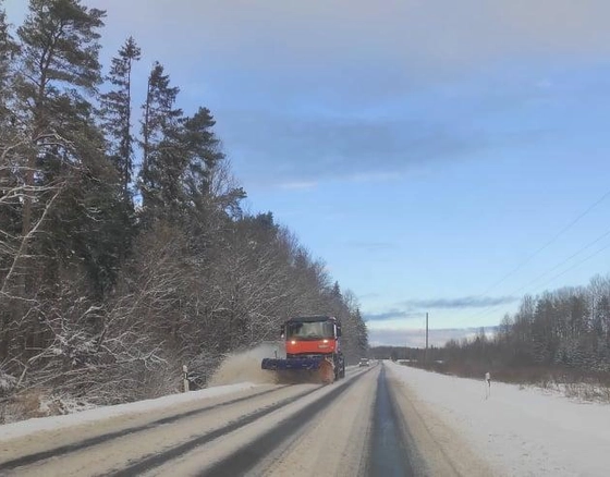 Vietomis eismo sąlygas sunkina plikledis