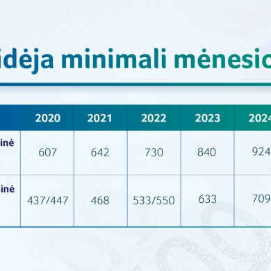 2025 metų biudžetas: padidės dirbančiųjų pajamos, senj