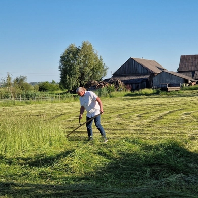 Antaninės Kęsčiuose: pjauta pirmoji pradalgė, išrinktas gardžiausias sūris
