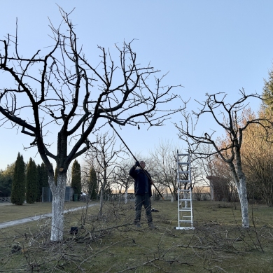 Aplinkos tvarkymą geriau patikėti specialistams